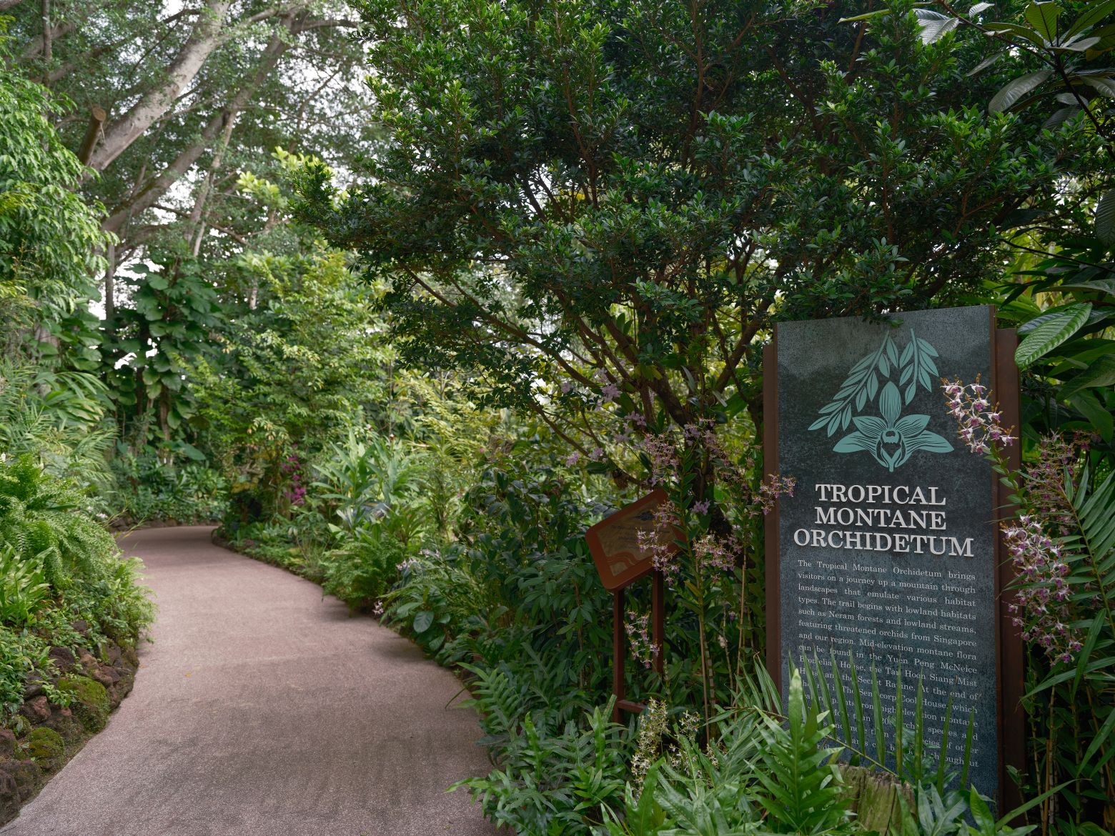 Tropical Montane Orchidetum, National Orchid Garden, Singapore