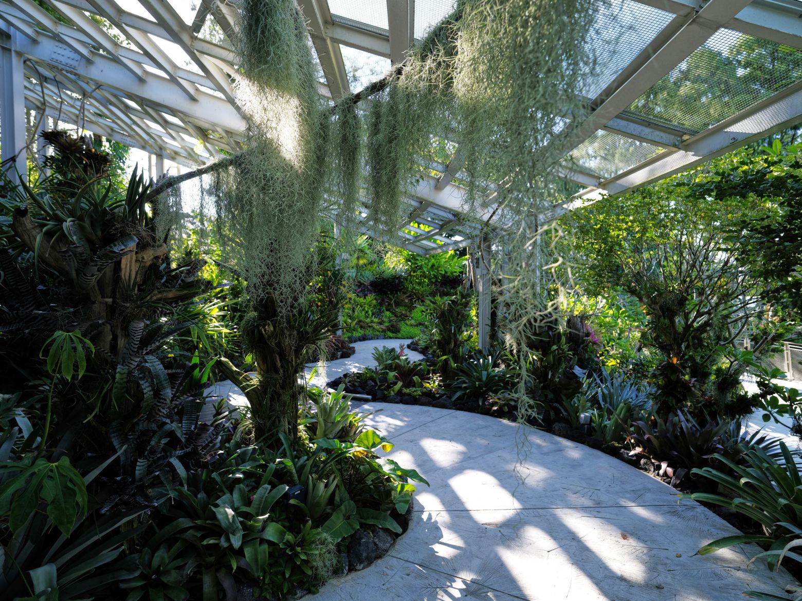 Enhanced National Orchid Garden Further Promotes Orchid Biodiversity Conservation