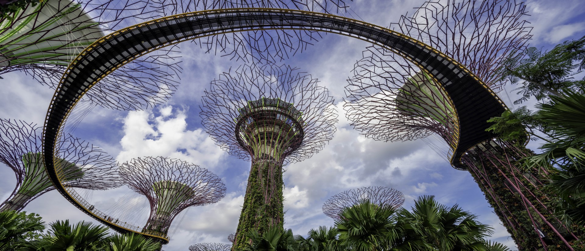 SuperTrees and OCBC Skyway, Gardens by the Bay Singapore